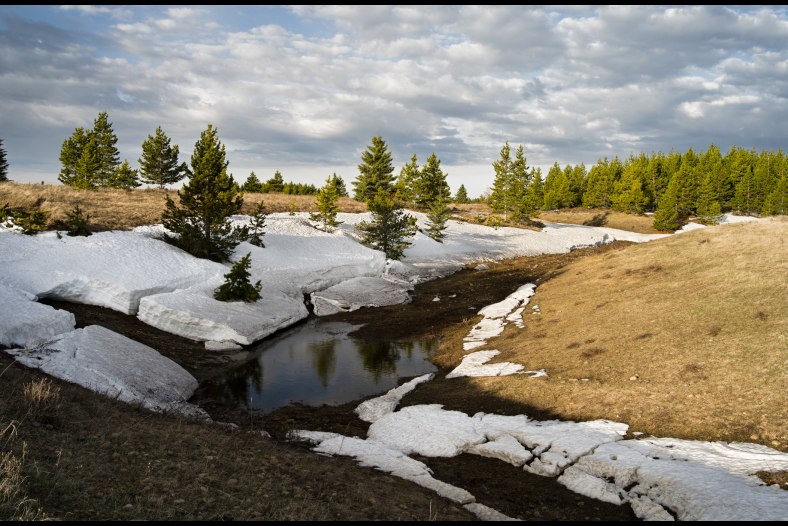 Spring snowmelt at Cypress